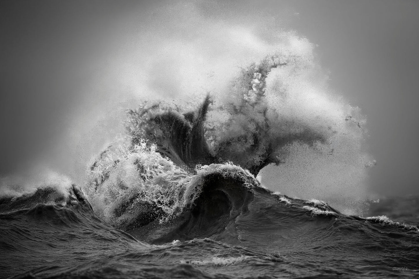 The Kraken_B&W