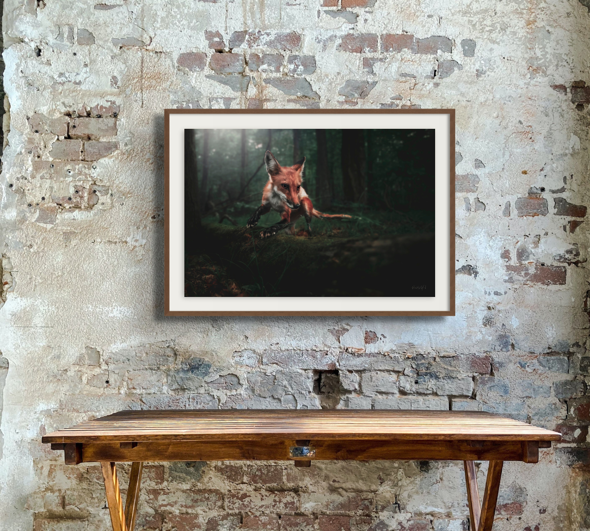 The Playful Fox