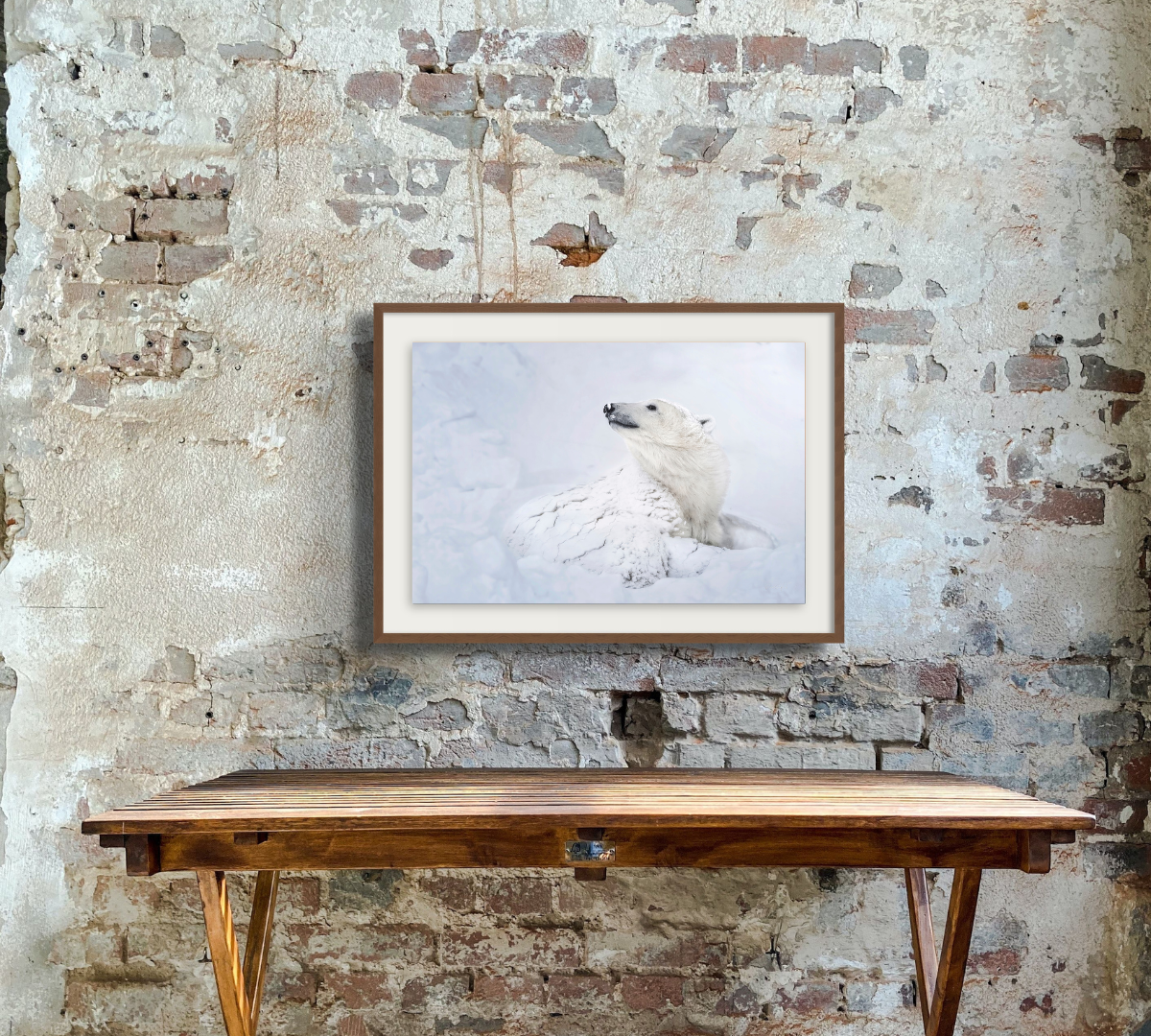 Dave Sandford Polar Bear Prints for sale in Canada