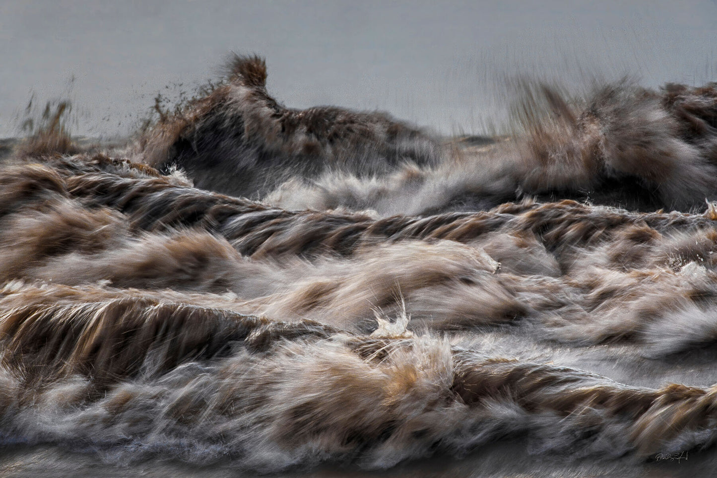 Wild Horses
