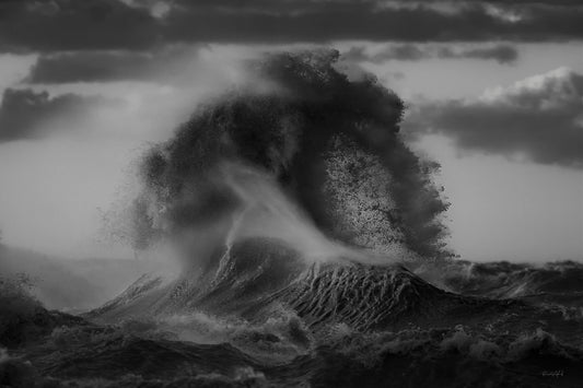 Lake of the Cat_B&W