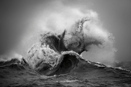 The Kraken_B&W