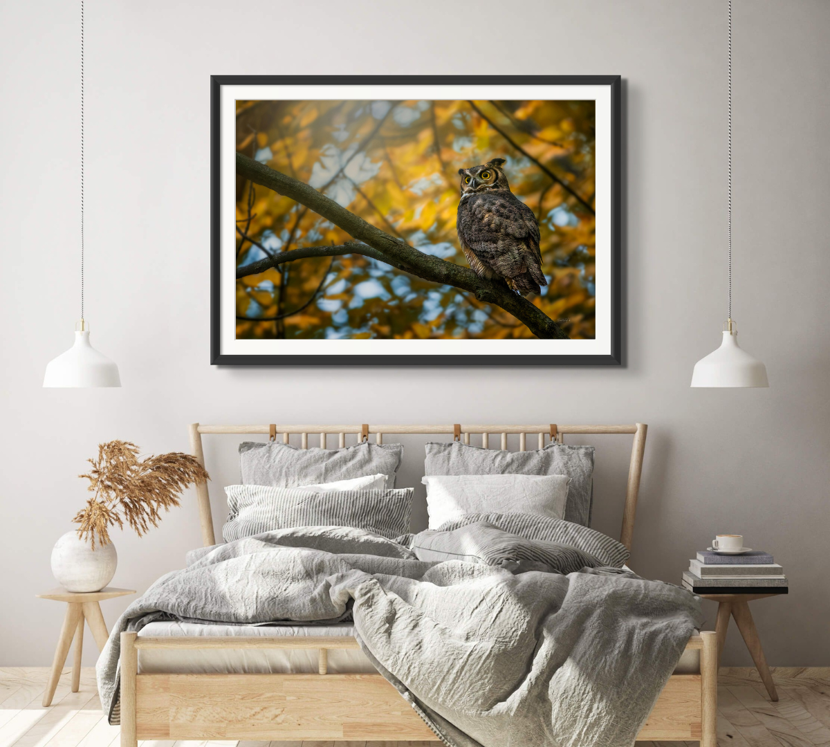 Owl in the Family