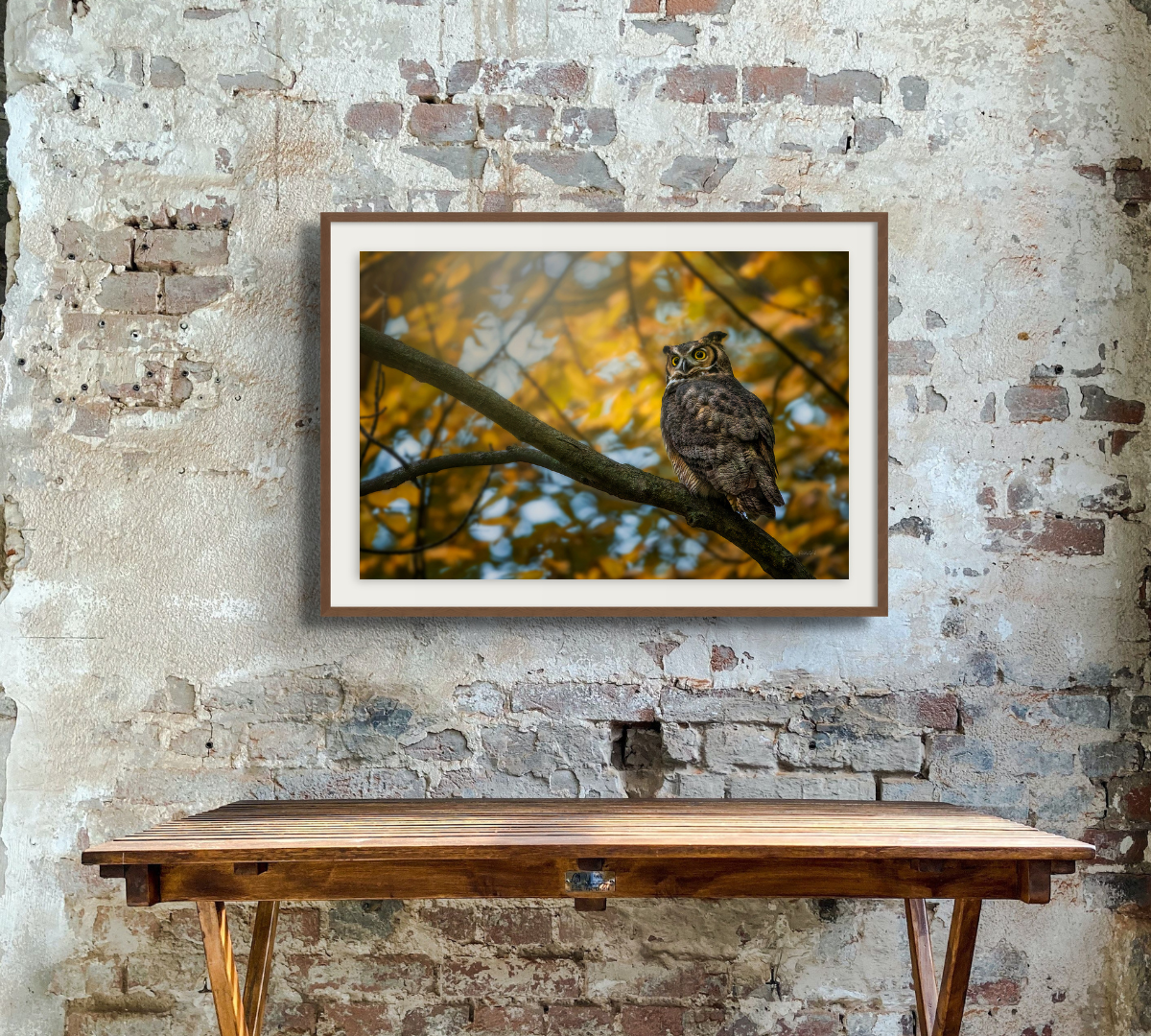 Owl in the Family