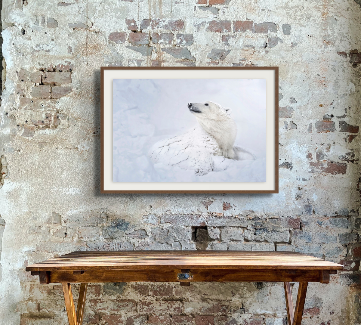 Dave Sandford Polar Bear Prints for sale in Canada