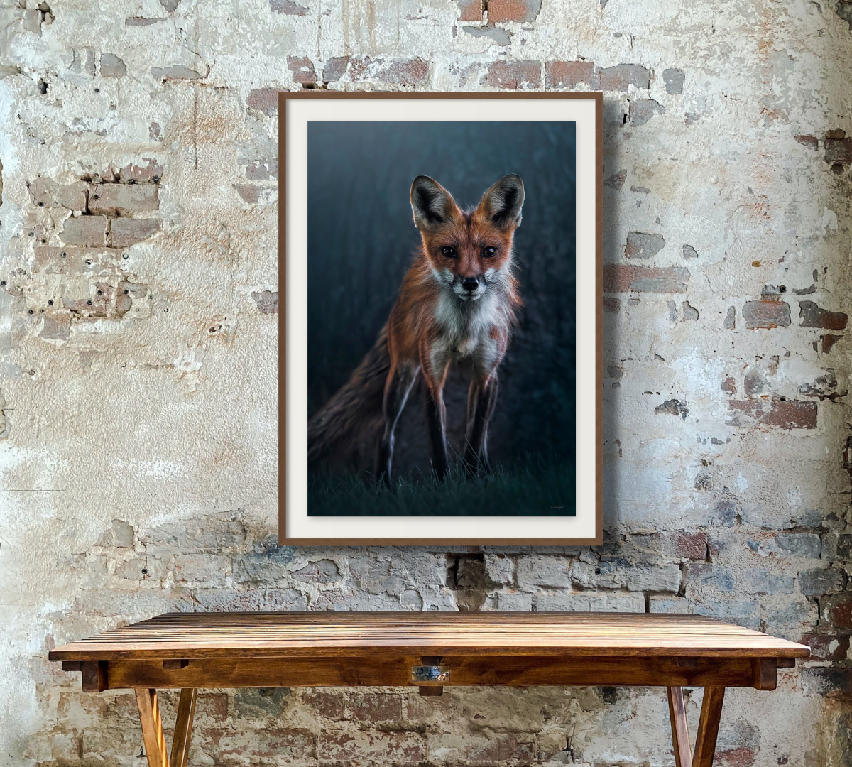 Woodland Fox