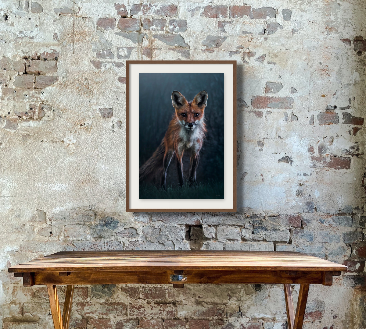 Woodland Fox