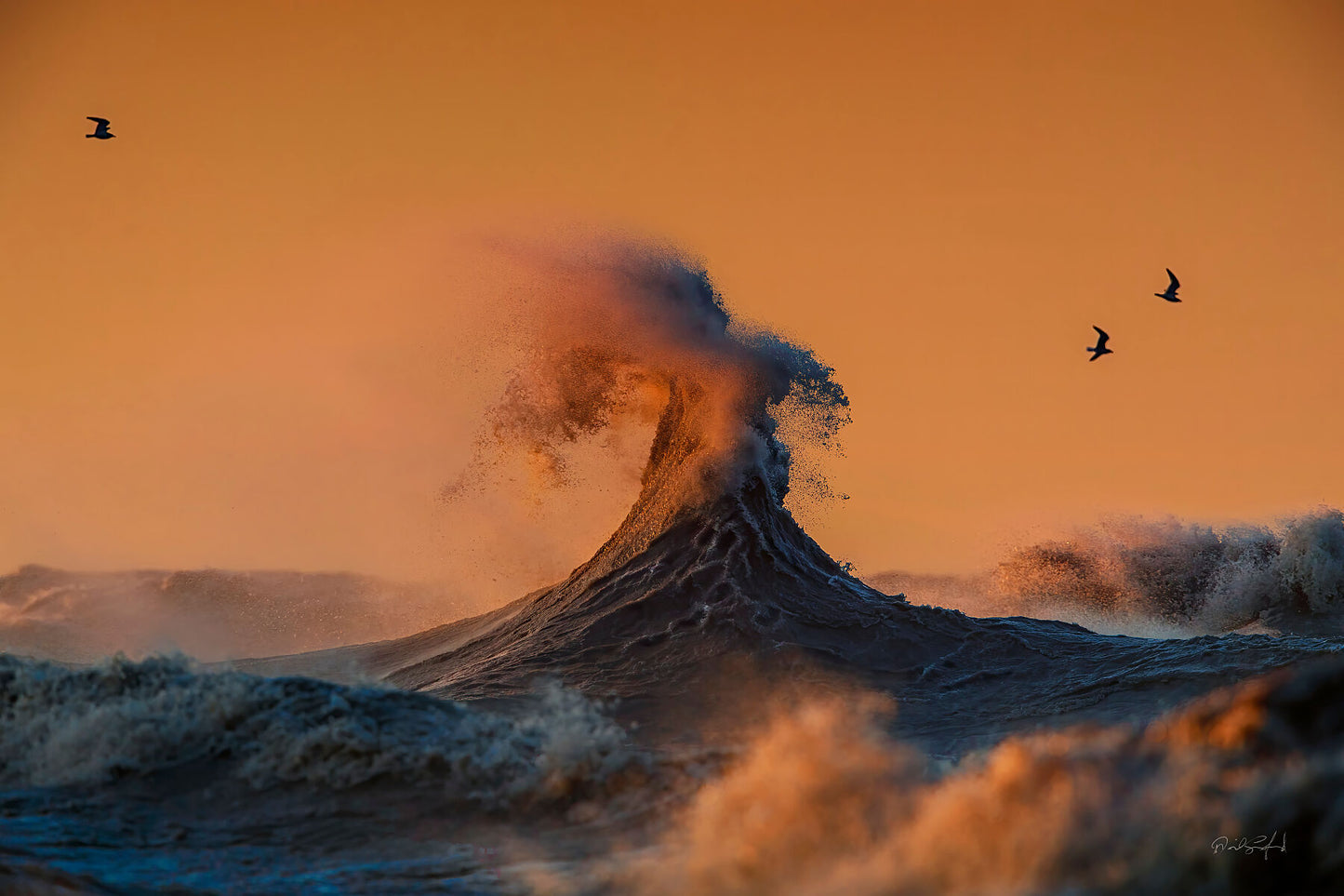 Majesty At Sunrise