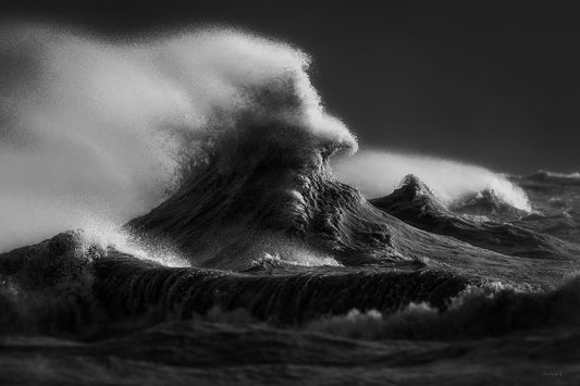 Bane of the Great Lakes_B&W